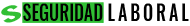 logo Seguridad Laboral